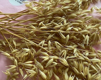 Natural Oat Spray - Treat for Hamsters, Guinea Pigs, Rabbits, Parrots
