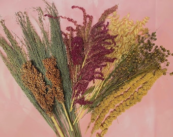 Hamster Forage Spray Mix (XL) | Sorghum, Millet, Sudan Grass, Flax, Oat, Amaranth