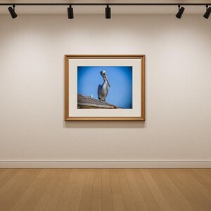 Jay Ligda Photography: Still Pelican on a Rooftop - Mockup
