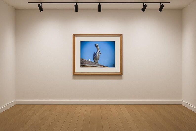 Jay Ligda Photography: Still Pelican on a Rooftop - Mockup