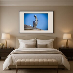 Jay Ligda Photography: Still Pelican on a Rooftop - Mockup