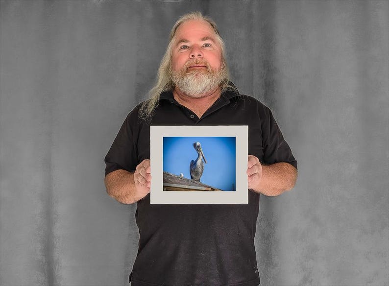 Still Pelican on a Rooftop — pelican photos - 5-3/8"x7-1/8" Matted Photo Size