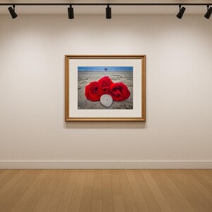 Jay Ligda Photography: Red Roses on Beach and Sand Dollar - Mockup