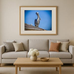 Jay Ligda Photography: Still Pelican on a Rooftop - Mockup