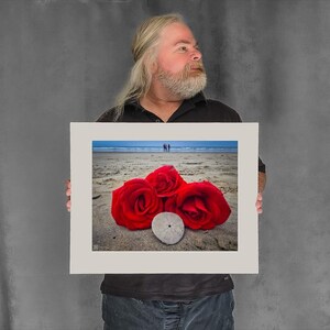 Red Roses on Beach and Sand Dollar - 11-3/8"x15-1/8" Matted Photo Size