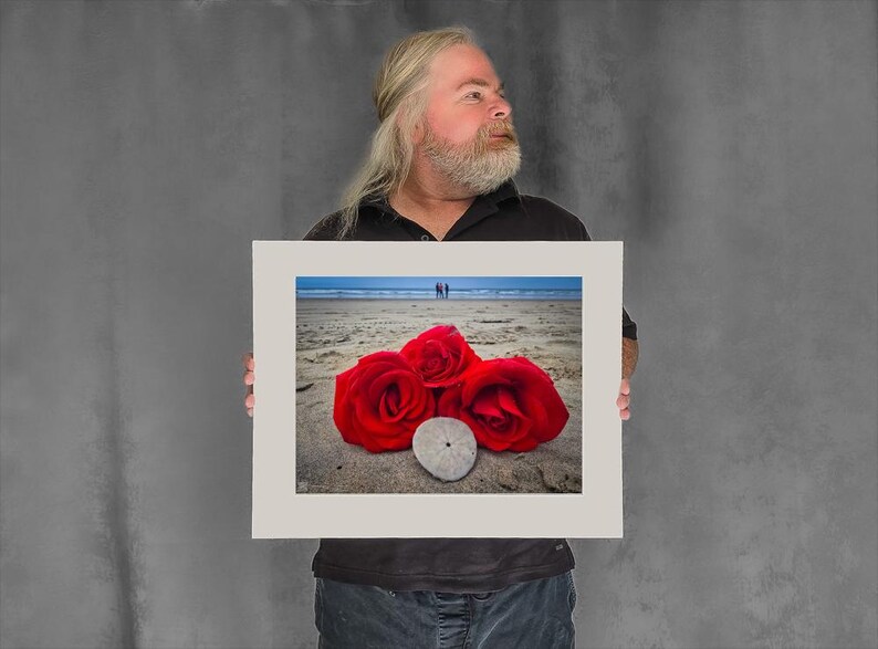 Red Roses on Beach and Sand Dollar - 11-3/8"x15-1/8" Matted Photo Size