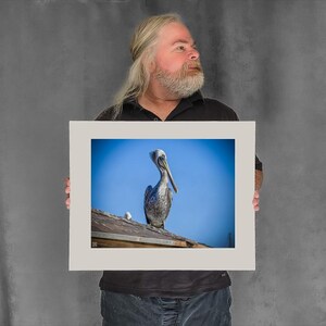 Still Pelican on a Rooftop — pelican photos - 11-3/8"x15-1/8" Matted Photo Size