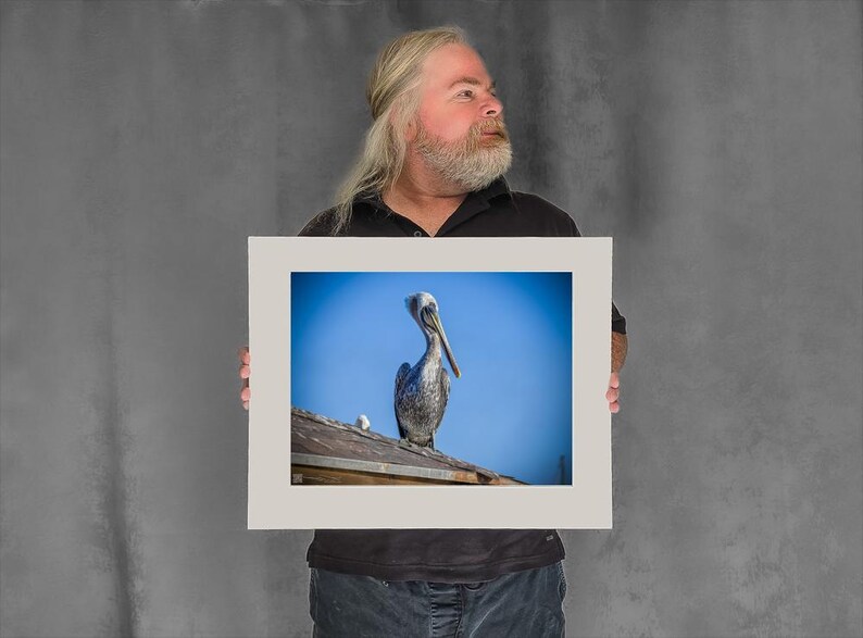 Still Pelican on a Rooftop — pelican photos - 11-3/8"x15-1/8" Matted Photo Size