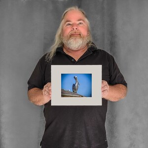 Still Pelican on a Rooftop — pelican photos - 4-3/8"x5-7/8" Matted Photo Size