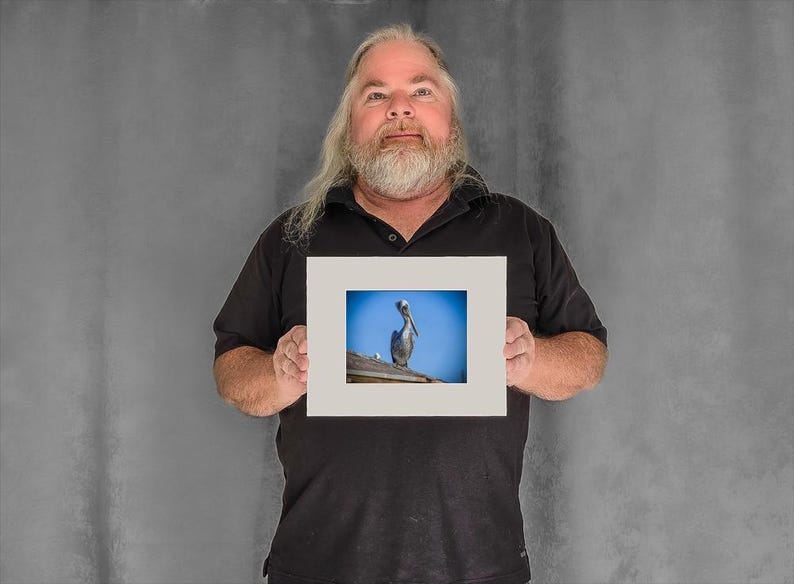 Still Pelican on a Rooftop — pelican photos - 4-3/8"x5-7/8" Matted Photo Size