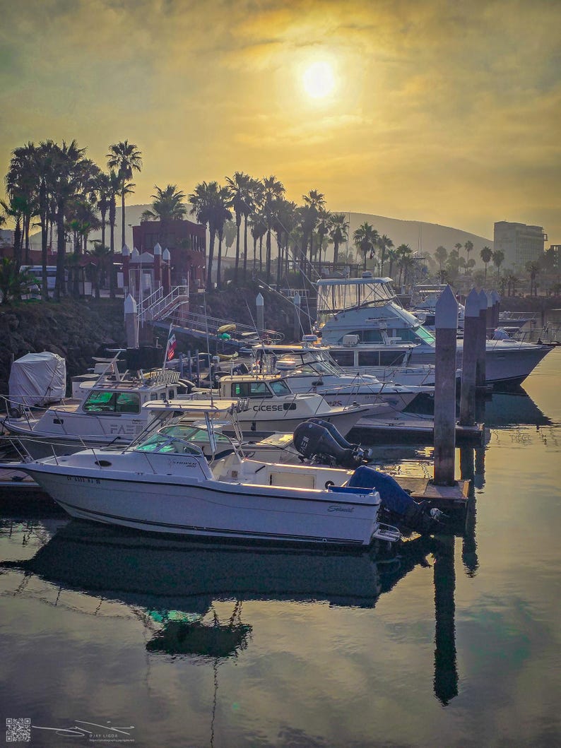 The rising sun glows above boats moored in a marina, casting a silver reflection across the calm waters.