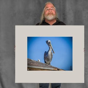 Still Pelican on a Rooftop — pelican photos - 17-3/8"x23-3/8" Matted Photo Size