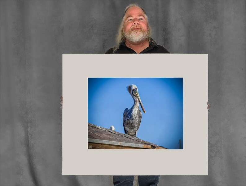 Still Pelican on a Rooftop — pelican photos - 17-3/8"x23-3/8" Matted Photo Size