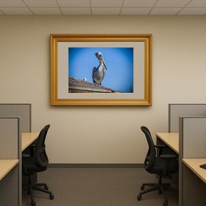 Jay Ligda Photography: Still Pelican on a Rooftop - Mockup