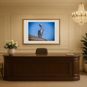 Jay Ligda Photography: Still Pelican on a Rooftop - Mockup