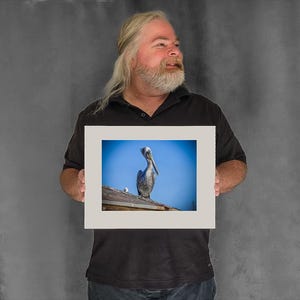 Still Pelican on a Rooftop — pelican photos - 7-3/8"x9-7/8" Matted Photo Size