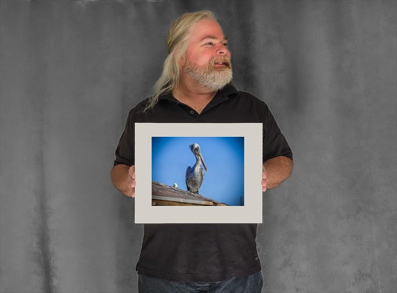 Still Pelican on a Rooftop — pelican photos - 7-3/8"x9-7/8" Matted Photo Size