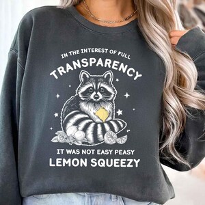 May include: Dark gray sweatshirt with a raccoon graphic holding a lemon. The text reads "IN THE INTEREST OF FULL TRANSPARENCY IT WAS NOT EASY PEASY LEMON SQUEEZY". The raccoon is black, white, and gray.