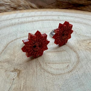 Può includere: Un paio di orecchini a bottone rossi a forma di stella glitterata. Gli orecchini sono realizzati in un materiale lucido e strutturato e sono montati su perni d'argento. Gli orecchini sono esposti su una superficie di legno chiaro.