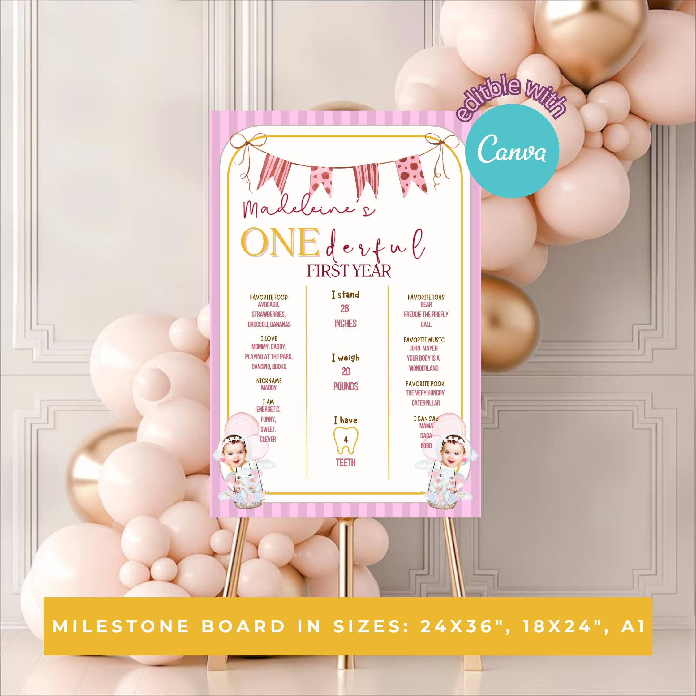 ONEderful First Birthday Milestone Board thumbnail 2