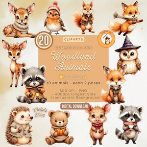 Woodland Animals Watercolor Clipart: Forest Nursery Art (PNG)