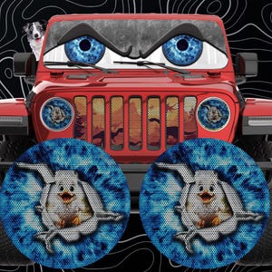 Duck headlight decal