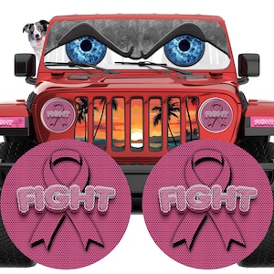 Fight back Headlight eye decals