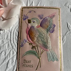 Carte postale antique Meilleurs voeux, pastel oiseau sur rose c.1910