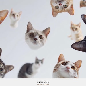 Curious Cats Webcam Backdrop | Funny Zoom Background | Subtle Blurred Digital Wallpaper