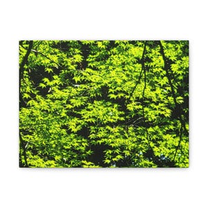 Canvas Print Japanese Maple Leaves, Wall Art Decor, Home Decor, Nature Lover Gift, Botanical Art Print