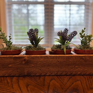 May include: A rustic wooden planter box with four small potted plants. The planter is stained a dark brown color and has a distressed finish. The plants are a mix of green and purple.