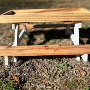 White Accented Chicknic Table, Squirrel Feeder, Bird Feeder Picnic Table, Chicken Feeder, Baby Chick Feeder, Baby Chick Accessories