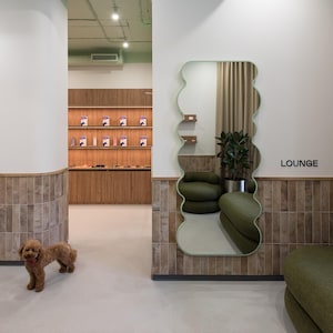 Wavy Asymmetrical Mirror: Modern Surrealist Decor, Custom Color & Size