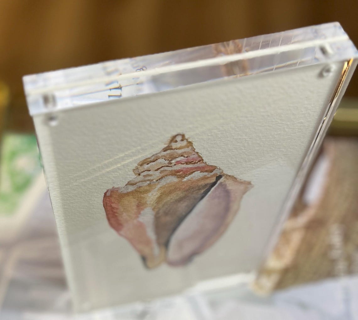 Conch Shell Hand Painted Watercolor - Original Ocean Marine Art ...