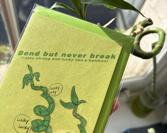 May include: A stack of light green cards with a bamboo illustration and the text "Bend but never break - stay strong and lucky like a bamboo!" The cards are in a clear plastic sleeve. A green bamboo plant is visible.