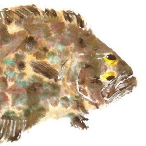 Flounder - Gyotaku Fish Rubbing - Limited Edition Print (19.5 x 11)