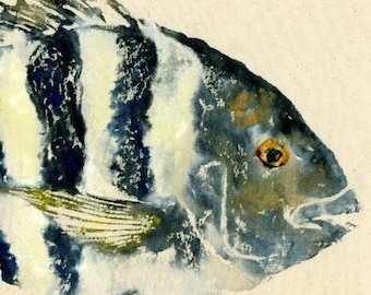 Sheepshead - "Convict" - Gyotaku Fish Rubbing - Limited Edition Print (18.25 x 11)