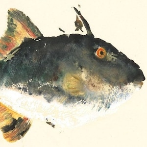 Trigger Happy - Gyotaku Fish Rubbing - Limited Edition Print (15 x 11)