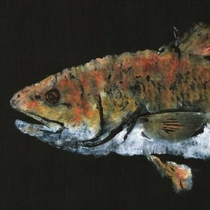 Redfish - &quot;Red Hot&quot; - Gyotaku Fish Rubbing - Limited Edition Print (28.5 x 11)