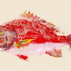 Red Snapper Gyotaku Fish Rubbing Limited Edition Print 18.75 x 11 image 2
