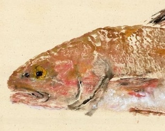 Red Drum - Gyotaku Fish Rubbing - Limited Edition Print (29.25 x 11)