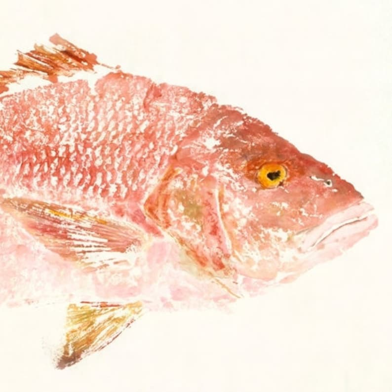 Red Snapper Rosy Gyotaku Fish Rubbing Limited Edition Print 32 x 15.5 image 1