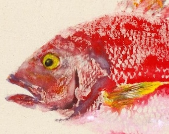 May include: A watercolor painting of a red snapper fish with a yellow eye. The fish is painted in a realistic style with details of the scales and fins.