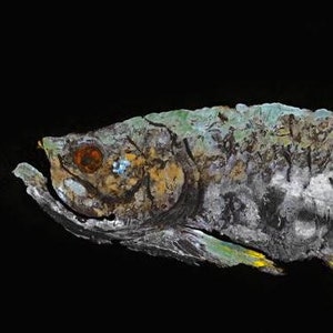 Tarpon - &quot;Moonlight Cruiser&quot; - Gyotaku Fish Rubbing - Limited Edition Print (37&quot; x 14&quot;)