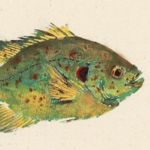 May include: A watercolor painting of a green and yellow fish with red and black markings. The fish is facing right and has a large, open mouth.