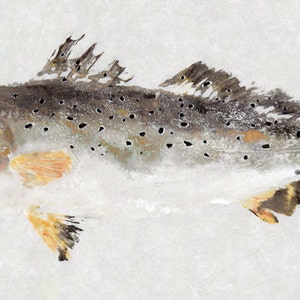 Spotted Seatrout Gyotaku Fish Rubbing Limited Edition Print 20.25 x 8.75 image 2