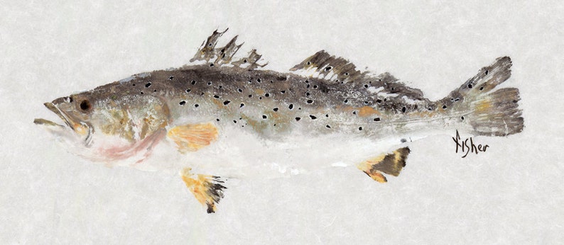 Spotted Seatrout Gyotaku Fish Rubbing Limited Edition Print 20.25 x 8.75 image 2