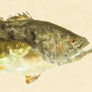 Largemouth Bass - &quot;Side Kick&quot; - Gyotaku Fish Rubbing - Limited Edition Print (27 x 14)