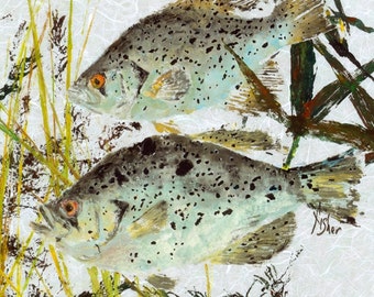 May include: A watercolor painting of two spotted fish swimming in a bed of green reeds. The fish are light blue with dark spots and have orange eyes. The background is a light gray with a textured look.