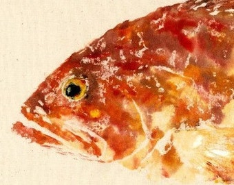 Red Grouper - Gyotaku Fish Rubbing - Limited Edition Print (21.5 x 11)